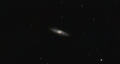 M 65
